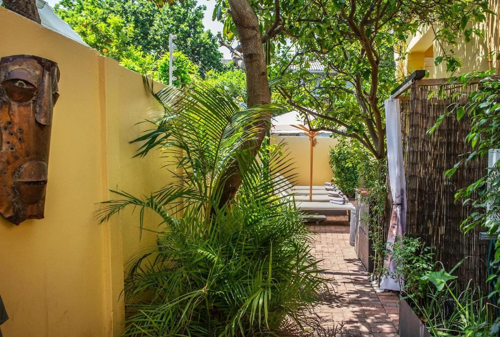 Tom'S Guest House Cape Town