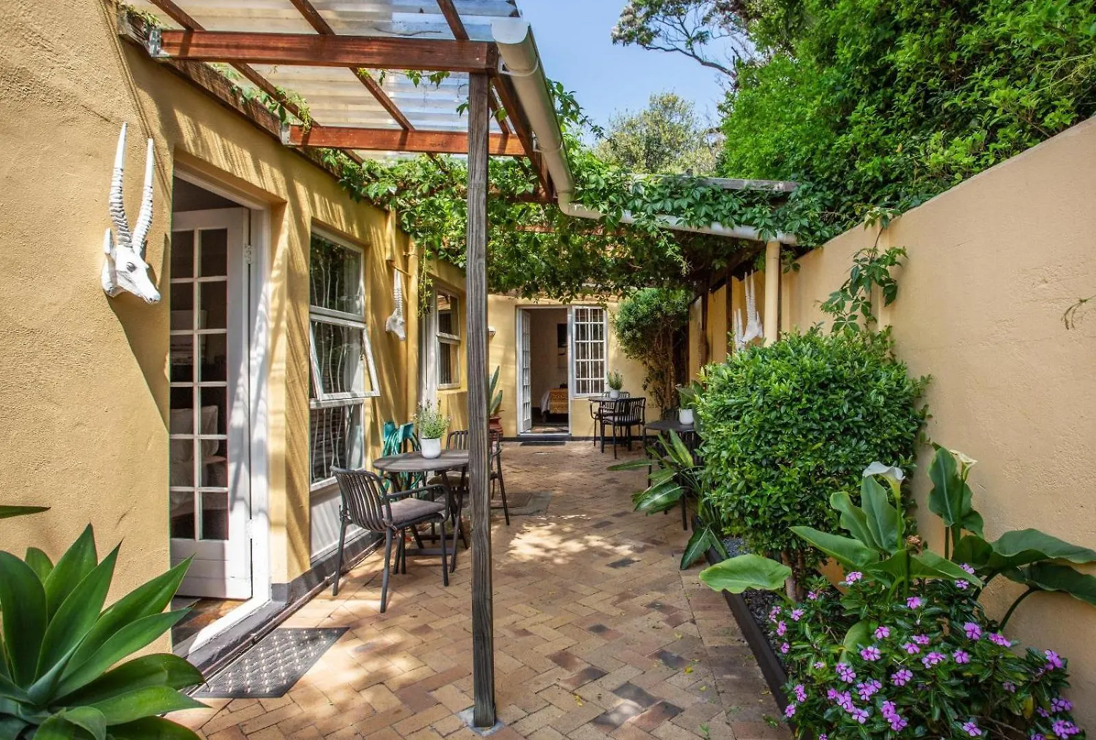 Tom'S Guest House Cape Town