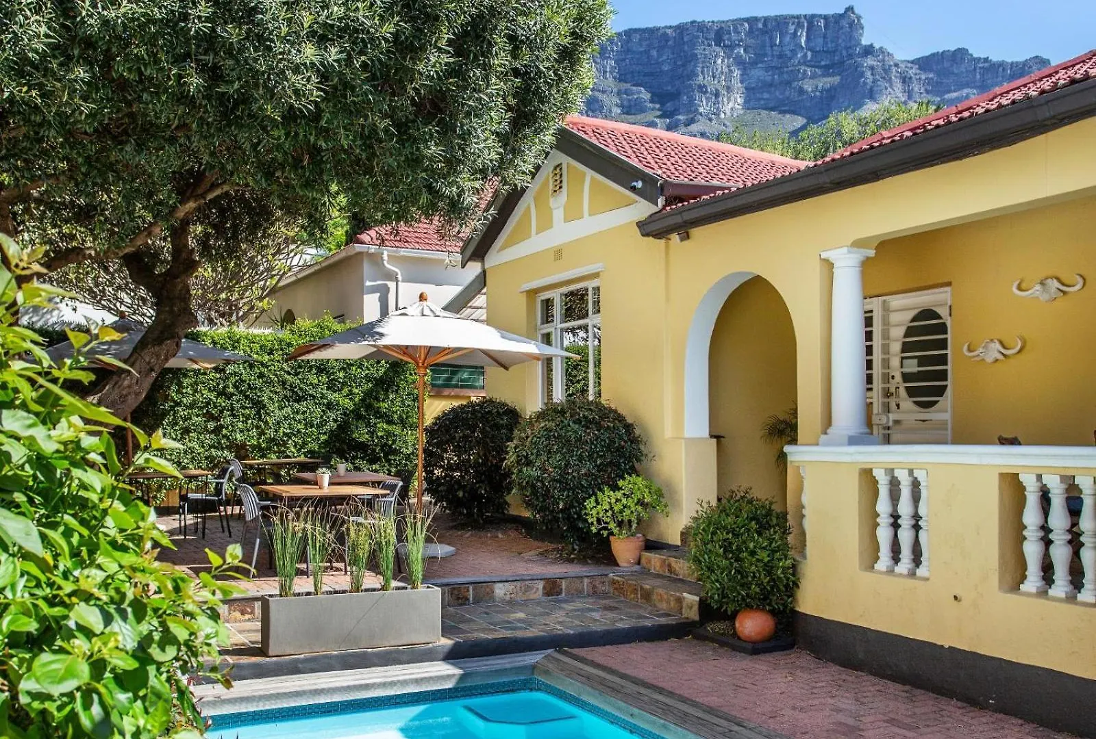 Tom'S Guest House Cape Town