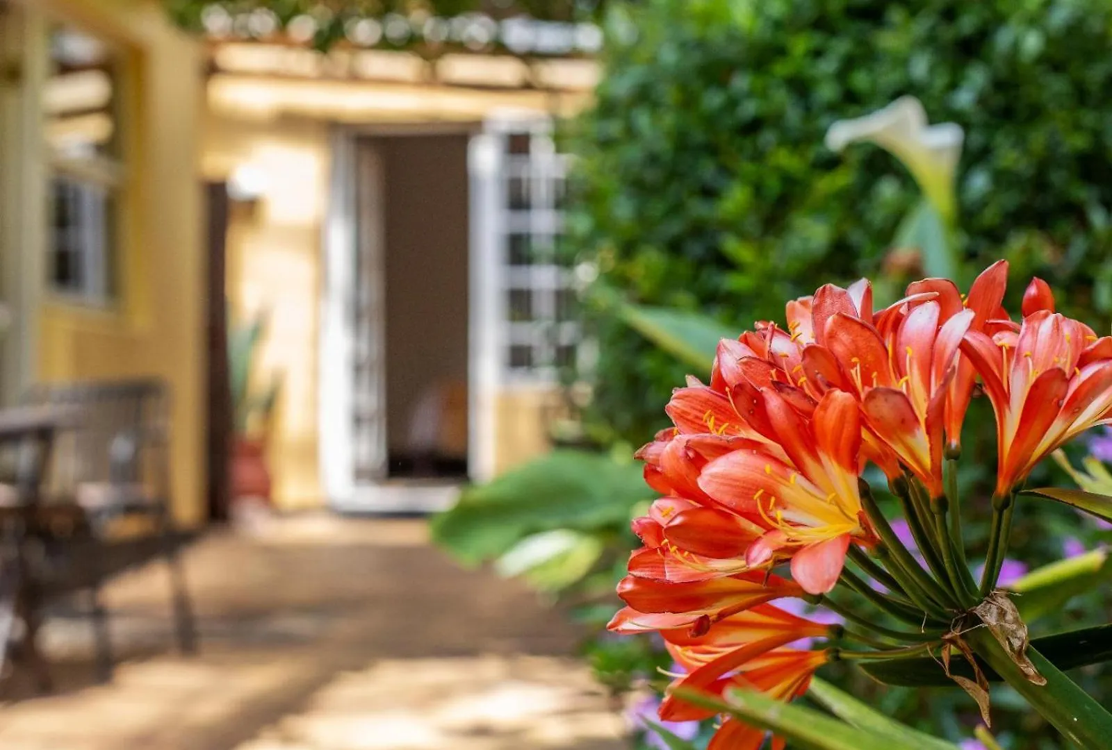 Tom'S Guest House Cape Town