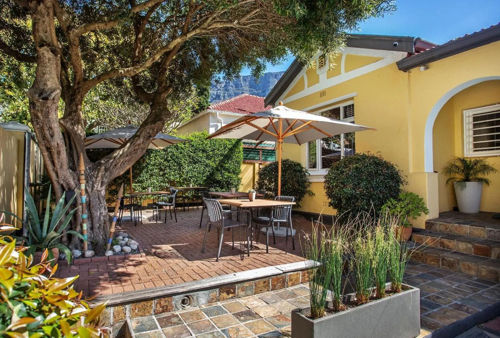 Tom'S Guest House Cape Town