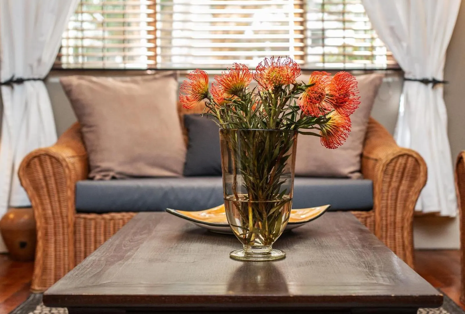 Tom'S Guest House Cape Town South Africa