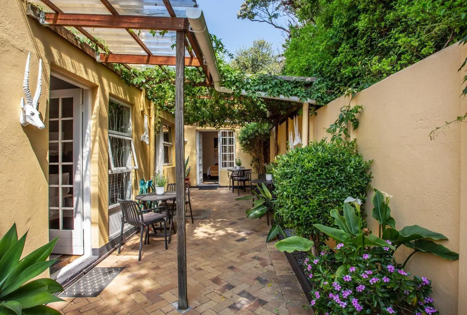 Tom'S Guest House Cape Town
