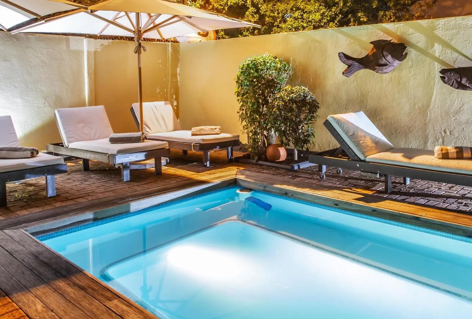 Tom'S Guest House Cape Town