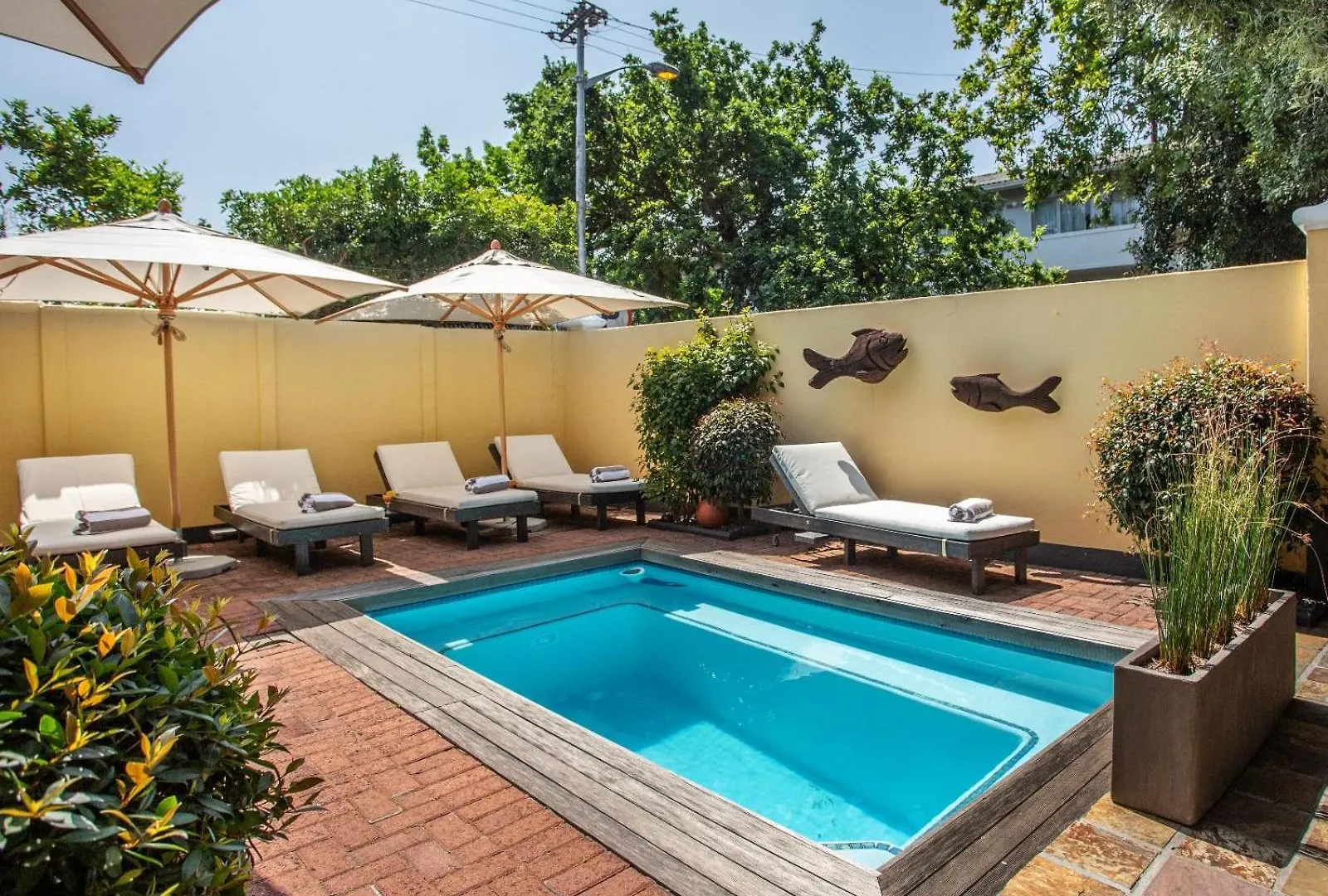 Tom'S Guest House Cape Town
